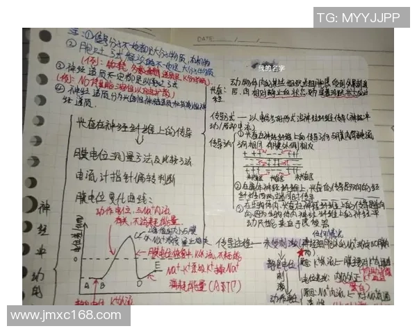 通过神经反馈训练提升个体冲动控制能力的研究与实践探索